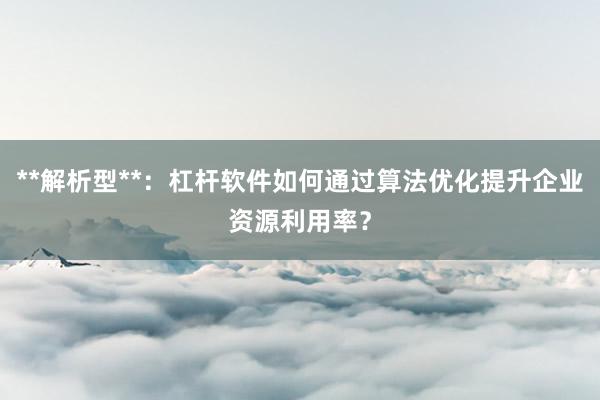 **解析型**：杠杆软件如何通过算法优化提升企业资源利用率？