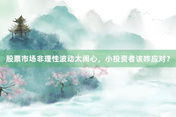 股票市场非理性波动太闹心，小投资者该咋应对？