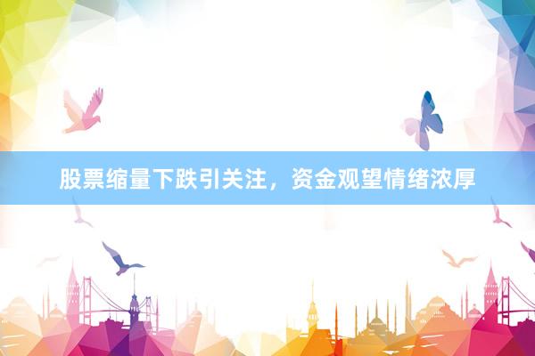 股票缩量下跌引关注，资金观望情绪浓厚