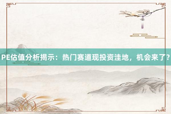 PE估值分析揭示:热门赛道现投资洼地,机会来了?