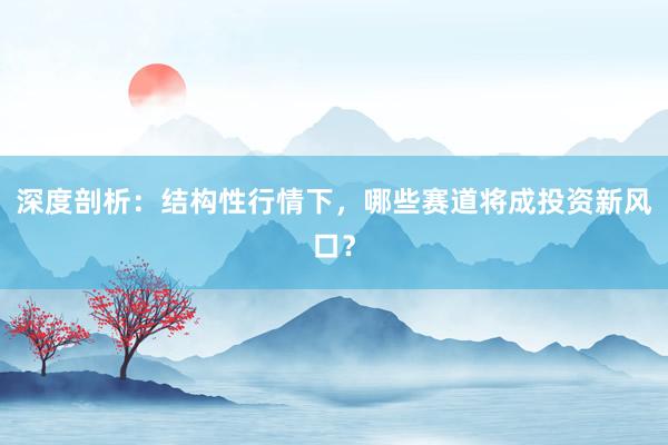 深度剖析：结构性行情下，哪些赛道将成投资新风口？