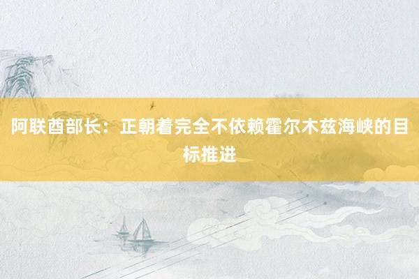 阿联酋部长：正朝着完全不依赖霍尔木兹海峡的目标推进