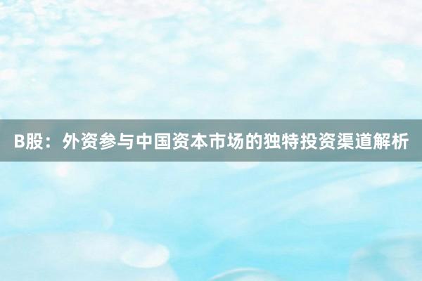 B股：外资参与中国资本市场的独特投资渠道解析