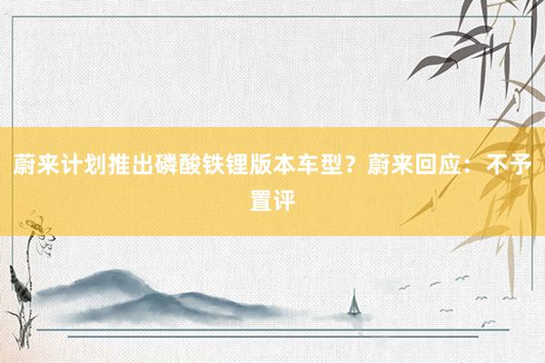 蔚来计划推出磷酸铁锂版本车型？蔚来回应：不予置评