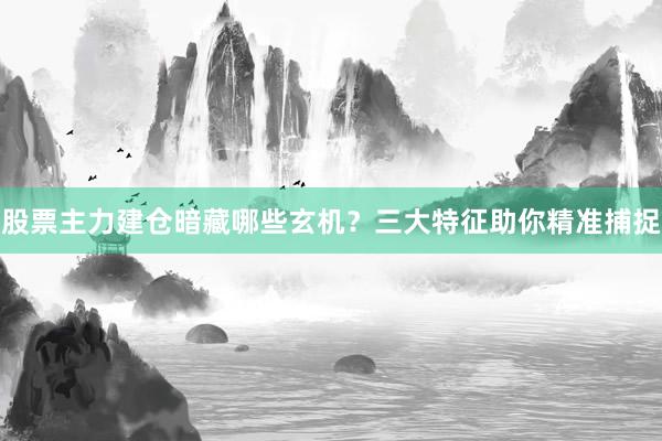 股票主力建仓暗藏哪些玄机？三大特征助你精准捕捉