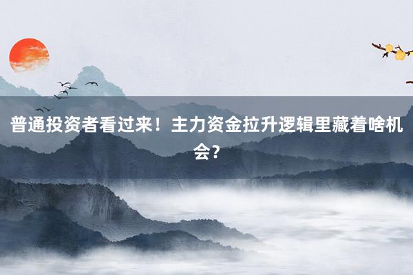 普通投资者看过来！主力资金拉升逻辑里藏着啥机会？