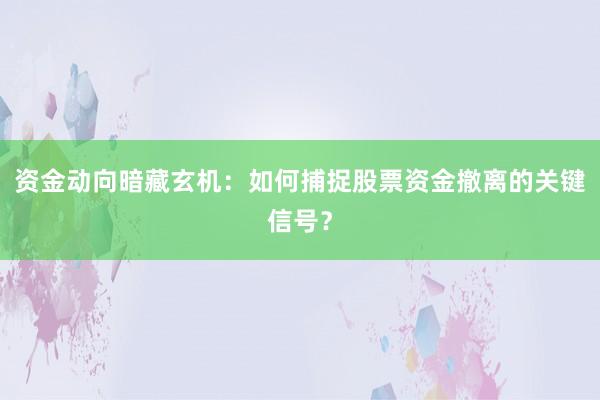 资金动向暗藏玄机：如何捕捉股票资金撤离的关键信号？