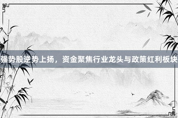 强势股逆势上扬，资金聚焦行业龙头与政策红利板块