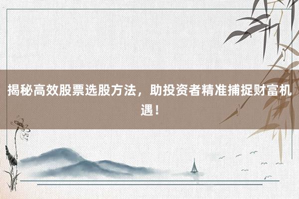 揭秘高效股票选股方法，助投资者精准捕捉财富机遇！