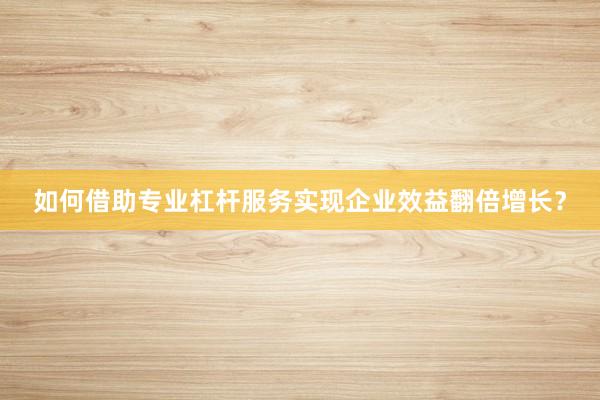 如何借助专业杠杆服务实现企业效益翻倍增长？