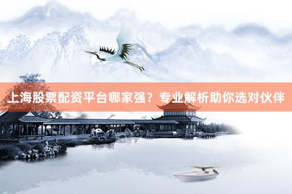 上海股票配资平台哪家强？专业解析助你选对伙伴
